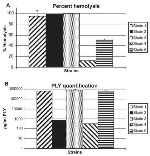 Figure 1 (A) Percent hemolysis (n = 3 per strain) for study strains. Percent was determined by comparison to a saponin 100% control. None of the high hemolytic strains (1, 2, 3) were significantly different from each other (P > 0.05). All of the high hemolytic strains were significantly higher than the low hemolytic strains (4 and 5) (P < 0.05). Strain 4 was significantly lower than strain 5 (P < 0.0001) Error bars denote standard deviation. (B) Concentration of PLY for study strains as determined by ELISA. Error bars denote standard deviation. Strain 3 had significantly more PLY than all other strains (P < 0.05). Strains 1 and 5 had significantly more PLY than strains 2 and 4 (P < 0.05). Strains 1 and 5 and strains 2 and 4 are not significantly different (P > 0.05).