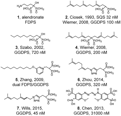 Figure 3. Structural evolution of GGDPS inhibitors. Small nitrogen-containing bisphosphonates are inhibitors of farnesyl diphosphate synthase (FDPS). Lipophilic bisphosphonates can inhibit the enzymes of farnesyl diphosphate metabolism, including GGDPS and squalene synthase. Branched bisalkyl bisphosphonates retain specificity for GGDPS. Non-bisphosphonate inhibitors of GGDPS have also been identified.