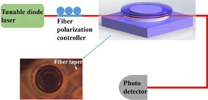 Figure 3. Experimental setup for recording the transmission spectra of the LN double-disk WGM.