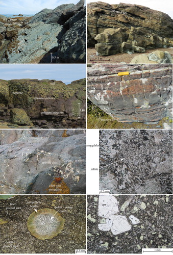 Figure 4. Features of these rocks include: A, Reverse-graded beds in lapilli tuff, with black arrows showing the direction of grading. B, Lapilli tuff filling channels within tuff; C, Peperitic contact between pillow lava below and tuff above. D, Argillite showing Bouma sequences (dotted lines denote boundaries between successive sequences; notebook for scale has 20 cm spine). E, Clasts in lapilli tuff at site 29, showing the distinction between aphyric clasts and those with abundant amygdales, with quartz cement in the matrix. F, Examples of clasts within the tuff, including those bearing chlorite-filled amygdales, and those with albite laths. G, Amygdale in pillow lava showing pumpellyite rim and mixed centre: regions with different crystal sizes are also visible. H, Dike, showing fresh clinopyroxene and altered plagioclase phenocrysts and chlorite pseudomorphing crystal shapes. Thin section images in plane polarised light.