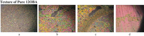 Figure 1. Texture of pure 12OBA. (a) Nematic droplets at 137.3°C; (b) nematic phase at 132.4°C; (c) nematic to smectic C at 130.7°C; (d) solid at 85°C.