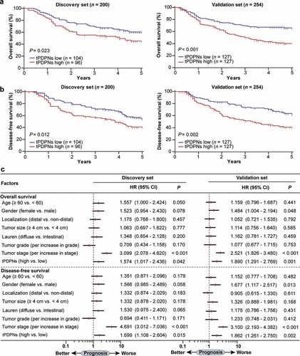 Figure 2. tPDPNs predict poor prognosis in gastric cancer. (a-b) Kaplan-Meier curves for overall survival (OS) and disease-free survival (DFS) in gastric cancer patients according to tPDPNs status in Discovery set and Validation set. The OS (a) and DFS (b) were compared between tPDPNs low and high subgroups. Log-rank test was performed for Kaplan-Meier curves. (c) Multivariate analysis of OS and DFS were conducted on the basis of clinicopathological characteristics in Discovery set and Validation set. HR, hazard ratio; CI, confidence interval
