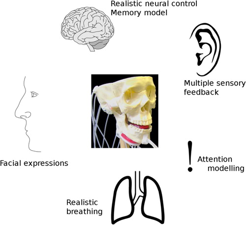 Figure 10. The vision of AnTon as a comprehensive model of speech production and cognition. Each of the modules shown would significantly enhance its value as an experimental tool.