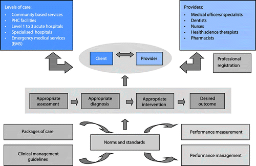Figure 2: Regulatory framework for clinical governanceCitation.5