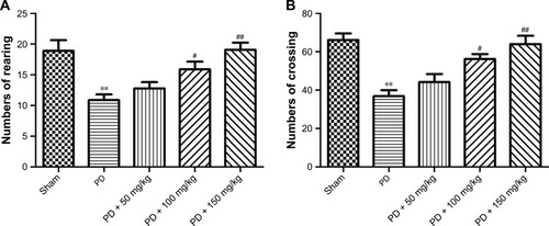 Figure 2 Effect of baicalin on voluntary movement of PD rat model.