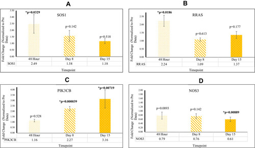 Figure 5 (A) The expression of SOS1 significant at 48 hr (B) The expression of RRAS significant at 48 hr (C) The expression of PIK3CB significant at D8 and D15 (D) The expression of NOS3 significant at D15.