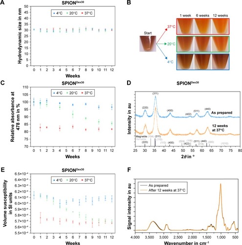 Figure 4 Storage stability of the particles.Notes: Data for 30 nm-sized SPIONDex stored at three different temperatures (4, 20, and 37°C) for 12 weeks serve here as an example. (A) No significant changes in hydrodynamic size. (B) Storage temperature- and storage time-dependent color change of the particles. (C) Quantification of the observed color change with absorbance measurements at 478 nm. (D) XRD spectra comparisons showing that the color change cannot be attributed to the formation of hematite. (E) Alteration in volume susceptibility in a time- and temperature-related manner indicates oxidation of nanoparticles. (F) FTIR spectra confirm lack of changes in surface chemistry. Mean ± SD values of three independent experiments are shown.Abbreviations: SPIONDex, dextran-coated superparamagnetic iron oxide nanoparticles; XRD, X-ray diffraction; FTIR, Fourier transform infrared spectroscopy; SD, standard deviation; θ, diffraction angle; au, arbitrary unit.