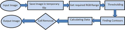 Figure 5. Cell counting flow diagram