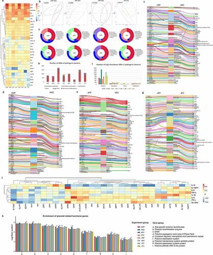 Figure 4. Effect of eARGs on the intestinal microbiota antibiotic resistome. Heat map of the distribution of the top 30 intestinal ARGs of mice in different age and sex groups (a). Principal component analysis (PCA) of the intestinal ARGs of mice in the different age and sex groups (b). Double circle diagram of the species distribution of ARGs at the phylum level in each group. The inner circle shows the distribution of host bacteria of ARGs, and the outer circle shows the distribution of intestinal microbiota (c). Sanggi diagram of ARGs and their host distribution at the genus level of mice in different age and sex groups (d-g). Histogram of pathogenic bacteria distributed by ARGs in each group (h). Histogram of pathogenic bacteria with high abundance ARGs distribution (i). Heat map of the correlation between intestinal ARGs and serum cytokines. Among them, red represents positive correlation, blue represents negative correlation, and * represents significance (j). Histogram of gene quantity distribution enriched in eARGs-related pathways in different age and sex groups (k) .