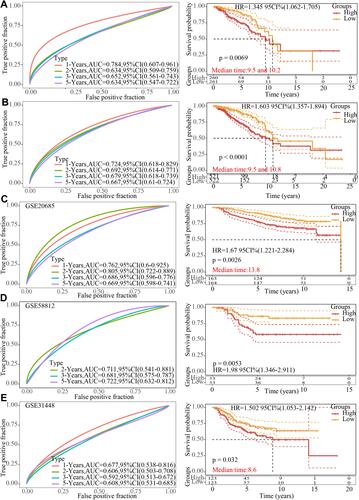 Figure 7 Evaluation of the stability and reliability of the signature. (A) Receiver-operating characteristic curve and Kaplan-Meier survival curve of 11-genes signature classification in The Cancer Genome Atlas internal validation set. (B) Receiver operating characteristic curve and Kaplan-Meier survival curve of 11-genes signature classification in entire The Cancer Genome Atlas dataset. (C) Receiver operating characteristic curve and Kaplan-Meier survival curve of 11-genes signature classification in GSE20685 dataset. (D) Receiver operating characteristic curve and Kaplan-Meier survival curve of 11-genes signature classification in GSE58812 dataset. (E) Receiver operating characteristic curve and Kaplan-Meier survival curve of 11-genes signature classification in GSE31448 dataset.