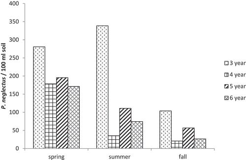 Fig. 1 Effect of rotation length on population densities of P. neglectus in soil planted to potato (nematodes per 100 mL soil), by season of sampling. Analysis of variance and mean separations were conducted on log(X + 100) transformed data.