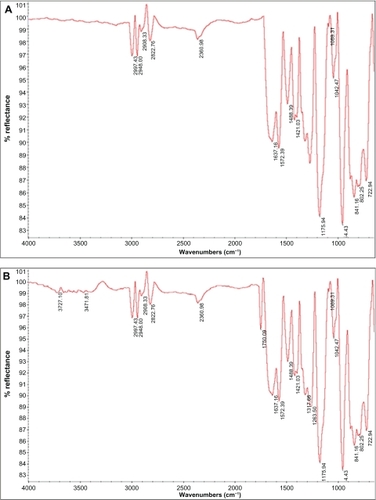 Figure 2 A) Attenuated total reflection Fourier transform infrared spectra for normal polystyrene, B) polystyrene irradiated by argon plasma, and C) polystyrene irradiated by oxygen plasma.