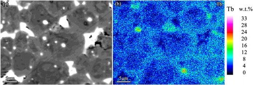 Figure 2. EPMA micrograph of the GBD-treated Nd–Fe–B sintered magnet 200 µm beneath the surface of the magnet (a) and concentration distribution mapping of Tb in the corresponding position (b).