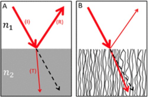 Figure 4. A schematic of the reflection and refraction of light at the interface between air and VACNT forests. In scenario (A), some light reflects, and some refracts into the higher-index materials. In (B), reflection occurs off a nanotube forest with a low density, making its effective index of refraction closer to that of air (n1). Image reproduced from [Citation9].