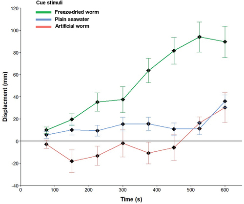 Figure 1. Chemotactic displacement (mm) of symsagittifera roscoffensis when presented with plain seawater, a freeze-dried adult worm, and an artificial worm. The overall displacement direction (accumulative mean ± s.e) in each treatment is positive when towards the stimuli and negative when away from the stimuli. N = 10 juvenile worms per treatment per replicate. There was a significant overall difference in the displacement values among the treatments (kruskal-Wallis; chi-squared = 157.29; p < 0.001).