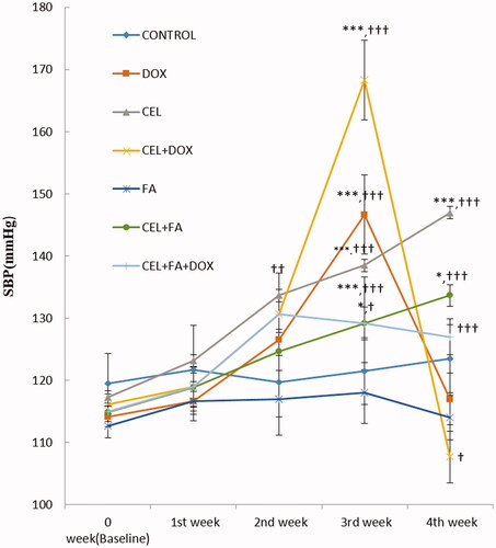 Figure 1. Effect of CEL and its combination with FA on SBP. *p < 0.05 CEL + FA (3rd and 4th weeks) vs. Baseline, ***p < 0.001 CEL (3rd and 4th weeks) vs. Baseline; DOX (3rd week) vs. Baseline; and CEL + DOX (3rd week) vs. Baseline. †p < 0.05 CEL + FA (3rd week) vs. CEL, CEL + DOX (4th week) vs. DOX; ††p < 0.01 CEL (2nd week) vs. Control, †††p < 0.001 CEL (3rd and 4th weeks) vs. Control; CEL + FA (4th week) vs. CEL; DOX (3rd week) vs. Control; CEL + DOX (3rd week) vs. DOX; and CEL + FA + DOX (3rd and 4th weeks) vs. CEL + DOX. DOX: Doxorubicin; CEL: Celecoxib; FA: Folic acid; SBP: systolic blood pressure.