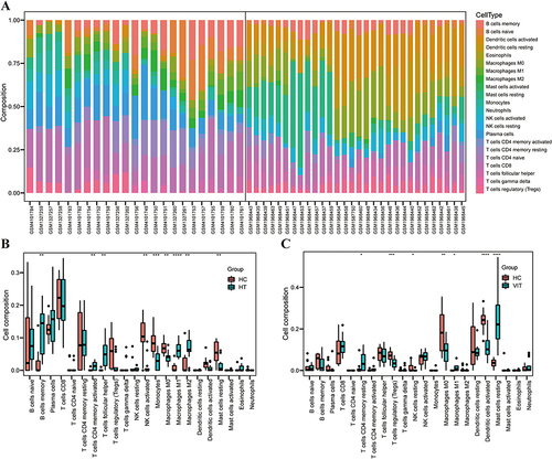 Figure 7 Analysis of the immune landscape. (A) Stacked bar chart of immune cell infiltration in HT and vitiligo datasets. The violin plots of the immune cell proportions in the HT dataset (B) and vitiligo dataset (C). *p < 0.05; **p < 0.01; ***p < 0.001. HT, Hashimoto’s thyroiditis.