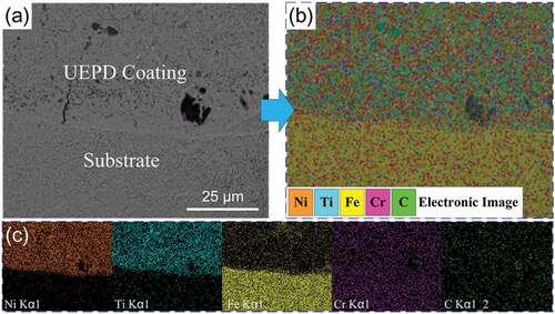 Figure 5. (a) Micrograph of the bonding zone between the UEPD coating and substrate and its (b-c) element distribution.