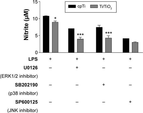 Figure 5 Nitrite concentrations in the cell culture media of LPS-stimulated macrophages under influence of selective inhibitors of p38 (SB202190), ERK1/2 (U0126), and JNK (SP600125).Notes: Cells were allowed to adhere on the samples for 18 hours, then were incubated with selective MAPK inhibitors for 1 hour and further treated with 1 µg·mL−1 LPS for 24 hours. Nitrite accumulation in cell culture media was assessed by Griess reaction. The data are expressed as mean ± SD. *P<0.05; ***P<0.001.Abbreviations: cpTi, commercial pure titanium; JNK, c-Jun NH2-terminal kinase; LPS, lipopolysaccharide; MAPK, mitogen-activated protein kinase; ERK, extracellular signal-regulated kinase; SD, standard deviation.