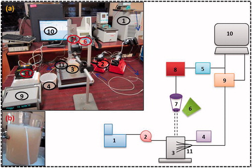 Figure 3. Schematic of the experimental set up. (A) Photographic view of experimental set-up. (B) Test section containing phantom and blood vessel. (1) Constant temperature bath, (2) syringe pump, (3) test section containing tissue phantom, (4) water storage, (5) power source, (6) IR camera, (7) laser head, (8) laser controller, (9) data acquisition system, (10) computer, (11) thermocouples.