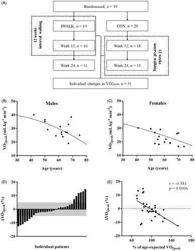Figure 1. (A) Patient flow. (B and C) Baseline ̇O2peak in male and female participants. The lines represent age- and sex-specific normative values [Citation16]. (D) Individual pre- to post-test percentage changes in ̇O2peak (mL/kg/min). The shaded area represents the typical error of measurement of ± 5%. (E) Linear correlation between pre- to post-test percentage changes in ̇O2peak (mL/kg/min) and ̇O2peak expressed relative to (%) age- and sex-specific normative reference values (mL/kg/min; [Citation16]).