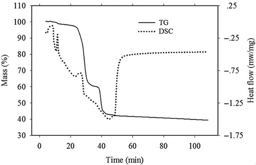 Figure 6. TG and DSC curves of DLR.