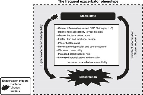 Figure 1 Schematic of the frequent exacerbator phenotype.