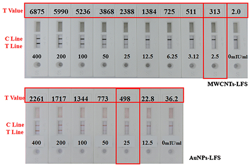 Fig. 11. Comparison results of HCG detection between AuNPs-LFS and MWCNTs-LFS.