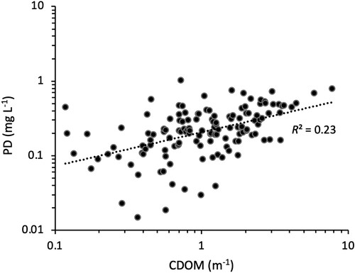 Figure 4. The relationship between the photo decay in absolute values and the CDOM of subarctic lakes near Abisko, northern Sweden (n = 146).