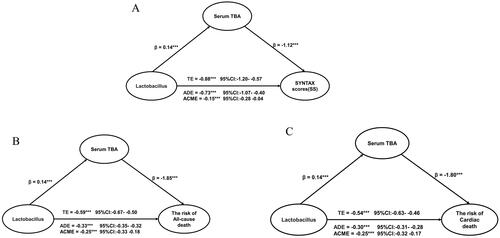 Figure 6. The coefficients relating Lactobacillus with SYNTAX score, the risk of all-cause death and the risk of cardia death, and the mediation effect of serum TBA. (A) Association between Lactobacillus and SYNTAX score mediated by serum TBA. (B) Association between Lactobacillus and the risk of all­cause death mediated by serum TBA. (C) Association between Lactobacillus and the risk of cardiac death mediated by serum TBA. β: coefficients in regression analysis; TE: total effect; ADE: average direct effect; ACME: average causal mediation effect; CI: confidence interval.