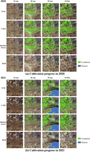 Figure 8. Cultivation progress at different times based on different models.