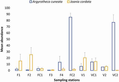 Figure 6. Mean abundance of the species Argyrotheca cuneata and Joania cordata per sampling station in the two studied caves (error bars indicate standard error)