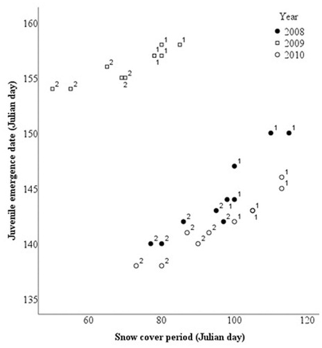 FIGURE 2. Influence of snow cover period on emergence time of juvenile Royle's pika (1 = alpine zone, 2 = timberline-subalpine zone).