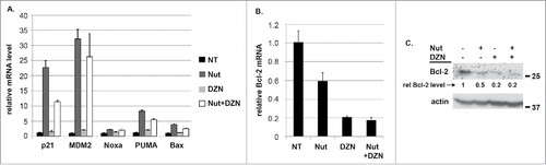 Figure 2. DZNep reduces Bcl-2 mRNA levels in HCT116 cells. A) HCT116 (p53+/+) and HCT116 (p53−/−) cells were treated with Nutlin (10 μM) and/or DZNep (10 μM) as indicated for 24 hrs. mRNA levels for the indicated p53-responsive genes was determined by qRT-PCR. B) Protein lysates from HCT116 (p53+/+) cells were probed with antibodies against Bcl-2 and actin. Numbers on the side indicate the position of molecular weight markers in kilodaltons.