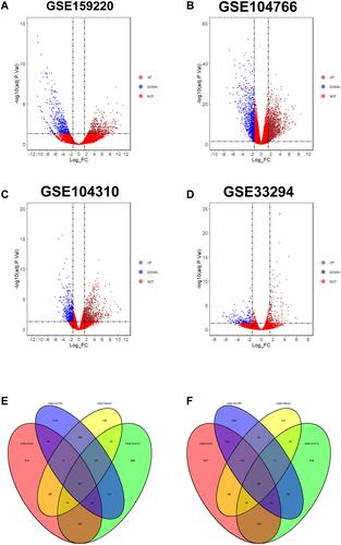 Figure 2 Volcano plot of DEGs and venn diagram plot of common DEGs. (A–D) The DEGs in GSE159220 (A), GSE104766 (B), GSE104310 (C) and GSE33294 (D) are presented as volcano plot. (E) Venn diagram of common up-regulated DEGs among GSE159220, GSE104766, GSE104310 and GSE33294. (F) Venn diagram of common down-regulated DEGs among GSE159220, GSE104766, GSE104310 and GSE33294.