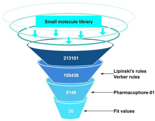 Figure 3. Virtual screening flow.