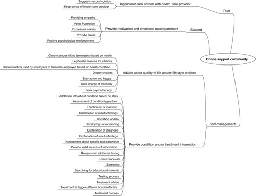 Figure 1 Qualitative data analysis for information-provider role.