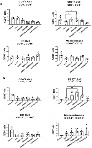 Figure 7. Flow cytometry analysis of immune cell populations in SARS-CoV-2 infected SH101 hamsters that were fed gut microbes responsible for resistance against COVID-19. (a-b) Immunomarkers for T helper cells, natural killer (NK) cells, and macrophages were quantified before (a) and after (b) infection with SARS-CoV-2 using the peripheral blood from SH101 hamsters fed the indicated microbes or PBS as mock control. Data on graphs represent mean ± SD. Significance was statistically analyzed and marked on the graphs as *p < 0.05 and **p < 0.01. (c) The manual gating strategy for immune cell subpopulations and visualization of unbiased clustering of single-cell multidimensional data for the immune cell panel.