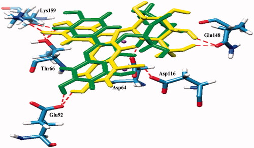 Figure 3. Superimposed structures of the docked conformations of compound 6 (yellow) and compound 7 (green) with amino acid residues of IN (stick models coloured by heteroatom) and Mg2+ (purple balls).