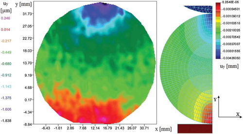 Figure 11. Contours of uy displacements obtained during the contact with the flat l2 = 7 mm in width being under load.