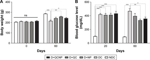 Figure 3 Effect of treatment with Fe3O4 NPs, QC, QC-Fe3O4 NPs (35 days) on body weight (A) and blood glucose levels (B) in STZ-induced diabetic rats. Notes: Each value is represented as mean ± SEM of 7–8 animals per group. *P<0.05, **P<0.01, and ***P<0.0001 vs diabetic control group (two-way ANOVA).Abbreviations: QC, quercetin; NP, nanoparticle; STZ, streptozotocin; NDC, non-diabetic control; DC, diabetic control; D+NP, diabetic treated with nanoparticle; D+QC, diabetic treated with quercetin; D+QCNP, diabetic treated with quercetin nanoparticle.