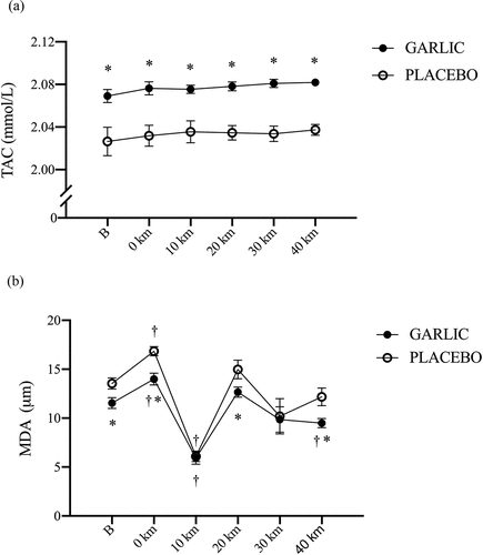 Figure 3. Total antioxidant capacity (TAC) (a), and malondialdehyde (MDA) (b) concentrations in (-●-) garlic and (-○-) placebo trials. B: represents before the 40-km cycling time trial. * Significant difference between garlic and placebo (p < 0.05). + Significant difference against B point in the same trial. (p < 0.05). Values are expressed as mean ± SE, N = 11.