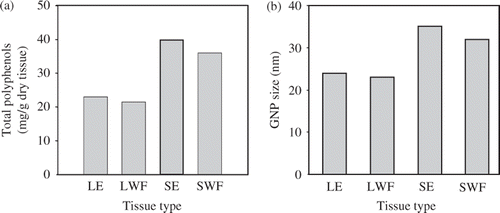 Figure 4. (a) Total polyphenols content of S. cumini LE, LWF, SE and SWFs. (b) Sizes of GNP synthesised by S. cumini LE, LWF, SE and SWFs.
