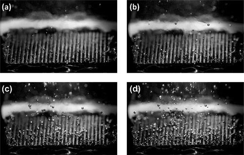 Figure 4. Bubble distribution at heat fluxes of (a) 2.18, (b) 3.08, (c) 4.13, and (d) 5.28 W/cm2 over hierarchical Cu MFA + CuO NS samples. The images are captured from 3000 fps video with a 330 µs exposure time.