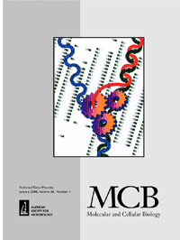 Cover image for Molecular and Cellular Biology, Volume 28, Issue 1, 2008