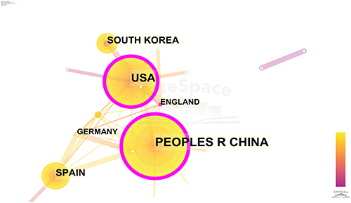 Figure 4 Network map of co-authorship between countries or regions about acupuncture on shoulder pain.