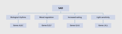 Figure 1. Schematic model of the biology of seasonal affective disorder (SAD). SAD is depicted as a complex phenotype shaped by multiple vulnerability factors acting at the level of biological rhythms, mood and appetite regulation, light sensitivity etc. Each of these intermediate phenotypes is in turn shaped by multiple genes. As with other complex phenotypes, it is unlikely that a single vulnerability factor or gene can account for SAD - rather it is the interaction of multiple factors interacting with the environment that shapes the ultimate phenotype.