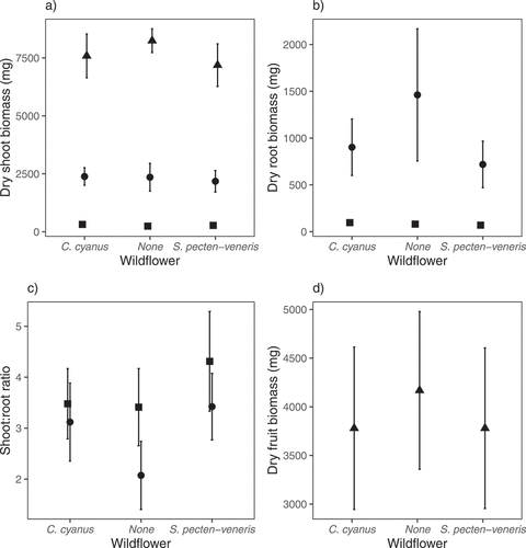 Figure 2. Shoot biomass (a), root biomass (b), shoot:root ratio (c) and fruit (inflorescence) biomass (d) of barley at harvest 1 (42 days after sowing – square), harvest 2 (92 days after sowing – circle) and harvest 3 (162 days after sowing – triangle) when grown in the presence of either Centaurea cyanus or Scandix pecten-veneris or without any other plants in a glasshouse experiment. There were no significant negative effects of the arable wildflowers on the barley, but a significant increase in barley shoot:root ratio (relative shoot investment) when arable wildflowers were present (P = 0.005) at harvest two. Means of untransformed data (n = 11*) are presented and error bars are 95% confidence intervals. *n = 10 for barley grown alone at harvest 2