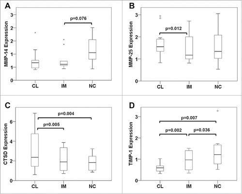 Figure 7. Expression of migration regulators in monocyte subsets from mCRC patients prior to therapy. Classical (CL), intermediate (IM) and non-classical monocytes (NC) were isolated from mCRC patients before neoadjuvant treatment to extract cellular RNA and generate cDNA for analysis by quantitative real-time PCR. Transcripts levels of (A) MMP-14, (B) MMP-25, (C) cathepsin D and (D) TIMP-1 were determined. Statistical analysis was based on the paired t-test.