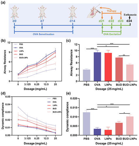 Figure 6 BUD-LNPs improved lung function in OVA-induced asthmatic mice (Created with BioRender.com). (a) Schematic diagram of in vivo model establishment and treatment. (b) Respiratory system resistance in response to increasing concentrations of methacholine. (c) Respiratory system resistance in response to 25 mg/mL methacholine. (d) Dynamic compliance in response to increasing concentrations of methacholine. (e) Dynamic compliance in response to 25 mg/mL methacholine. Data were presented as mean ± S.D., (n = 6) *P < 0.05; **P < 0.01; ***P < 0.001.